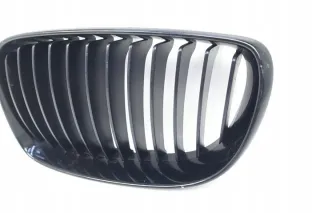 7322209 Решетка радиатора BMW 1 E81/E82/E87/E88 Арт e10568816, вид 2