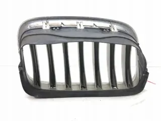 7171395 7157687 Решетка радиатора BMW X5 E70 Арт e10573073, вид 2