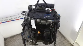 BKC Двигатель дизельный Seat Toledo 3 Арт 4EP34AB01_A98080, вид 7