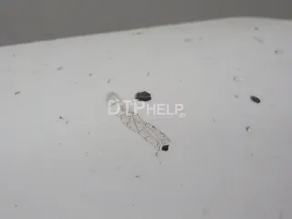 5330106090 Капот Toyota Camry XV30 Арт AM23781174, вид 10