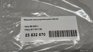A111311120 Chery Крышка расширительного бачка Seat Toledo 1 Арт E23532570, вид 9