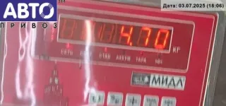233008H801 Стартер Nissan Almera Tino Арт 54810667, вид 4