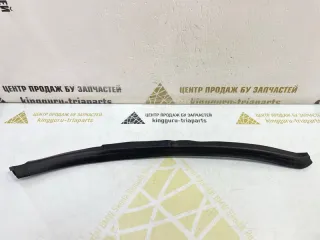 554000189AA уплотнитель двери EXEED TXL Арт TP119343, вид 1