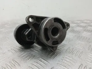 0802410121 Натяжитель ремня генератора Renault Espace 4 Арт AG1101654, вид 3