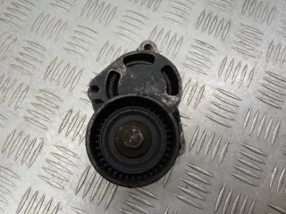 0802410121 Натяжитель ремня генератора Renault Espace 4 Арт AG1101822, вид 1