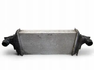 A1645001700 Интеркулер Mercedes R W251 Арт e10588989, вид 1