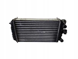 9824742280 9823718480 JD127100-6520 Интеркулер Opel Corsa F Арт e10590239, вид 6