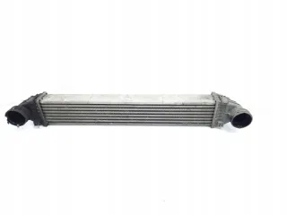 A1695000900 Интеркулер Mercedes B W245 Арт e12639993, вид 1