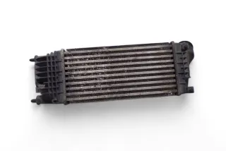 9657073480 Интеркулер Citroen C5 2 Арт e12639859, вид 1