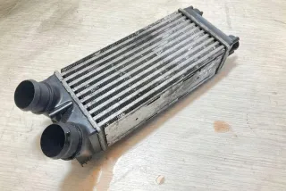 9656503980 Интеркулер Citroen C4 2 Арт e12639857, вид 1