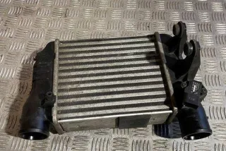 8E0145805N Интеркулер Audi A4 B7 Арт e12639551, вид 5