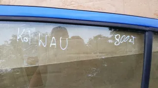 XYZ123ABC456AA Дверь задняя левая Hyundai i20 1 Арт e12618404, вид 4