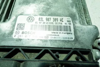03L907309AE Блок управления двигателем Volkswagen Caddy 3 Арт e12590811, вид 1