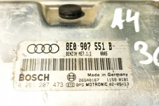 8E0907551B Блок управления двигателем Audi A4 B6 Арт e12586374, вид 1