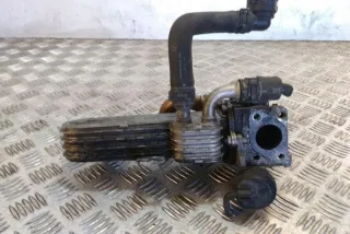 038131513AD Радиатор EGR Volkswagen Golf 4 Арт e12583217, вид 1