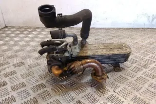 038131513AD Радиатор EGR Volkswagen Golf 4 Арт e12583217, вид 2