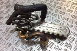 038131513AD Радиатор EGR Volkswagen Golf 5 Арт e12583175, вид 2