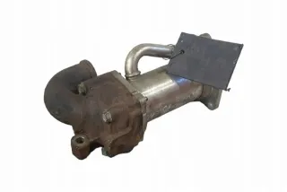 LM01_ 8200545260 Радиатор EGR Nissan Note E11 Арт e12582151, вид 1