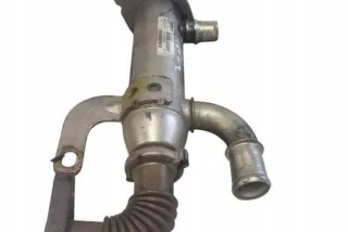 875816W Радиатор EGR Citroen C4 2 Арт e12580810, вид 1