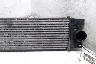874806MC Интеркулер Renault Master 3 Арт e12549704, вид 3