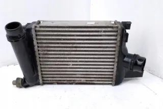144967634R Интеркулер Dacia Dokker Арт e12548292, вид 5