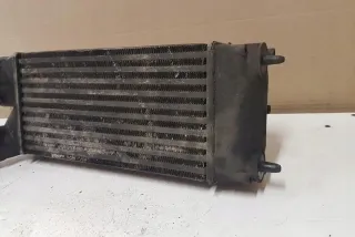 9656503980 Интеркулер Citroen C4 1 Арт e12548209, вид 7