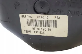 9673017080 Насос гидроусилителя руля Citroen C5 2 Арт e12533852, вид 4