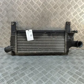 14461EB360 Интеркулер Nissan Pathfinder 3 Арт e12524164, вид 1