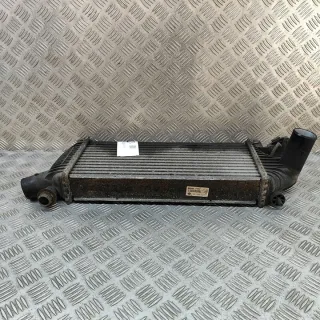 14461EB360 Интеркулер Nissan Pathfinder 3 Арт e12524164, вид 2