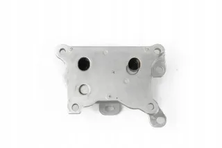 213055917R MQ004883 2130500Q0B Радиатор EGR Mercedes A W177 Арт e12499959, вид 3