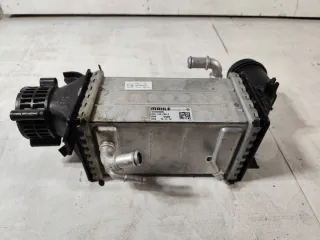 04E145785E Интеркулер Volkswagen Golf 8 Арт e12496508, вид 1