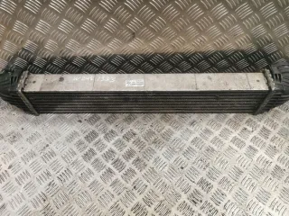 1695000000 Интеркулер Mercedes B W245 Арт e12496042, вид 1