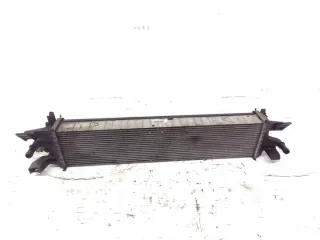 F1F18D048AB Интеркулер Ford Kuga 2 Арт e12495910, вид 1