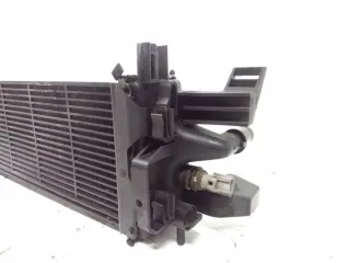 F1F18D048AB Интеркулер Ford Kuga 2 Арт e12495910, вид 3