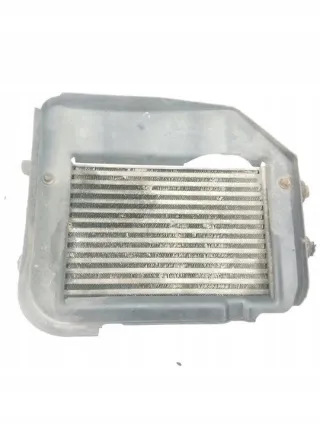 001307012080 Интеркулер Citroen Jumper 2 Арт e12495884, вид 1