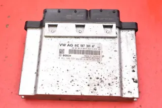 04E907309AF 0261S09531 Блок управления двигателем Skoda Fabia 3 Арт e12486774, вид 1