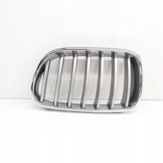 51117237421 Решетка радиатора BMW X3 F25 Арт e12480229, вид 1