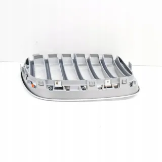 51117237421 Решетка радиатора BMW X3 F25 Арт e12480229, вид 4