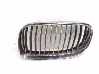 7254971 Решетка радиатора BMW 5 F10/F11/GT F07 Арт e12419107, вид 1