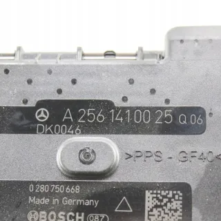 A2561410025 Моновпрыск Mercedes GLE W167 Арт e12394309, вид 1