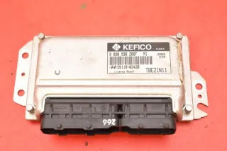 39110-02420 Блок управления двигателем Hyundai Getz Арт e12389869, вид 1