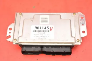 39110-02420 Блок управления двигателем Hyundai Getz Арт e12389869, вид 2