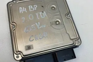 03L906022MK Блок управления двигателем Audi A4 B8 Арт e12387567, вид 1