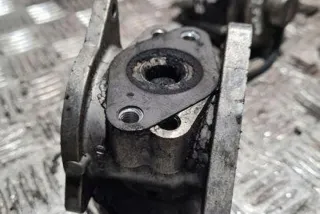 038131501S Клапан EGR Volkswagen Golf 5 Арт e12384623, вид 1