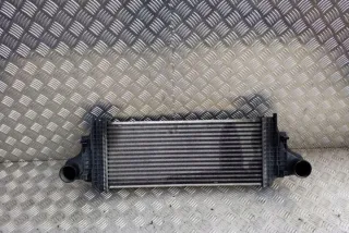 W164 A2515000000 Интеркулер Mercedes ML W164 Арт e12361150, вид 3