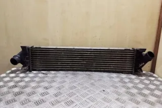 6G919L440AF Интеркулер Ford Kuga 1 Арт e12360929, вид 1
