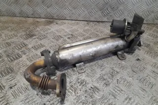 014706 Радиатор EGR Volkswagen Passat B6 Арт e12358490, вид 2