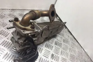 038131513AD Радиатор EGR Volkswagen Passat B6 Арт e12358487, вид 2