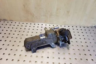 038131513AD Радиатор EGR Volkswagen Golf 4 Арт e12358373, вид 4