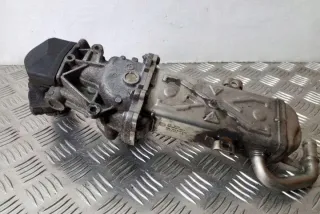 03L131512DQ Радиатор EGR Volkswagen Caddy 3 Арт e12358239, вид 2